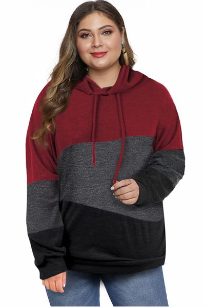 Picture of PLUS SIZE HOODIE COLOUR BLOCK